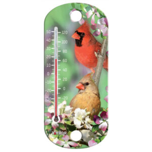 Blue Jay Indoor/Outdoor Tube Thermometer, 8-In.