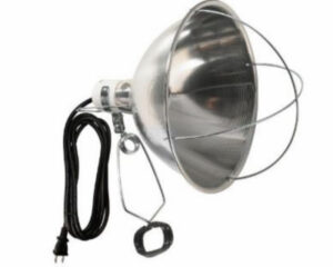 Brooder Lamp, 10-In. Reflector, 120-Volt, 300-Watts