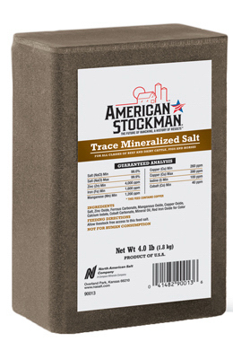 Livestock Trace Mineral Brick, 4 Lbs.
