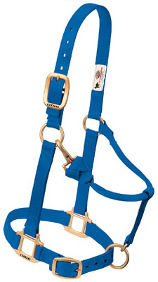 Snap Halter, Adjustable, Blue Nylon, 1 In.