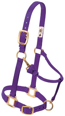 Snap Halter, Adjustable, Purple Nylon, 1 In.